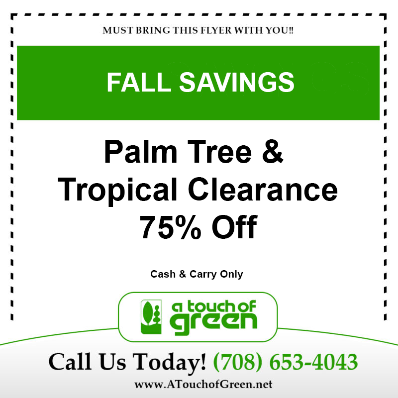 FallSavings1