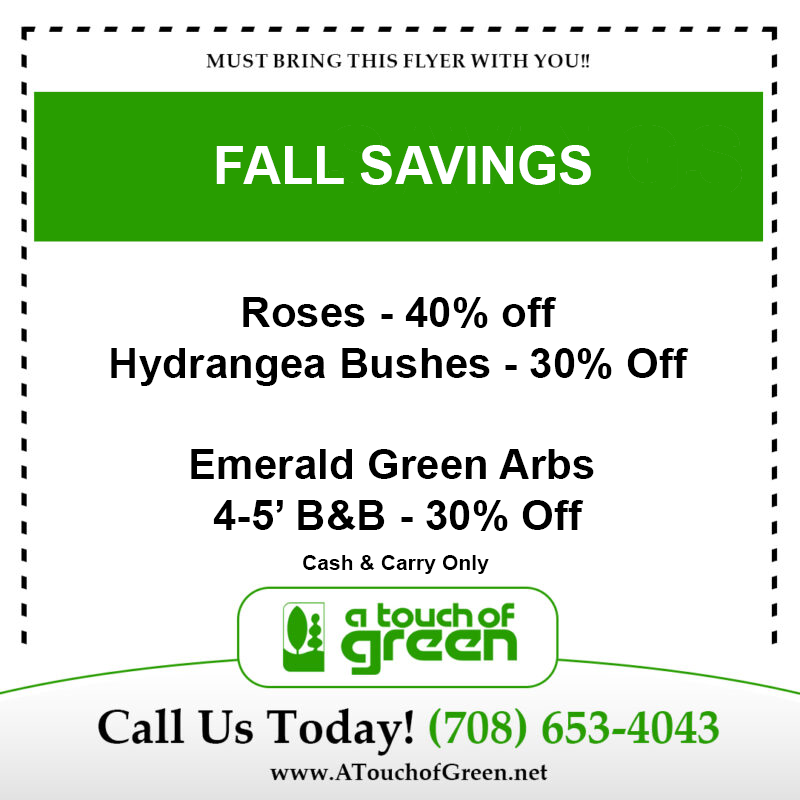 FallSpecials2