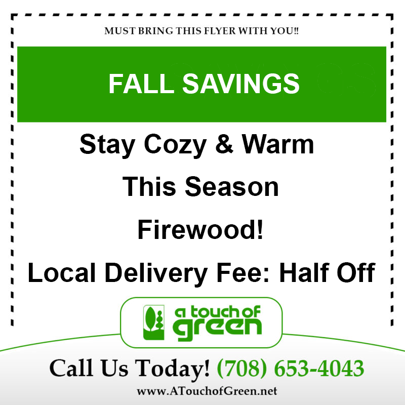 FallSpecials3