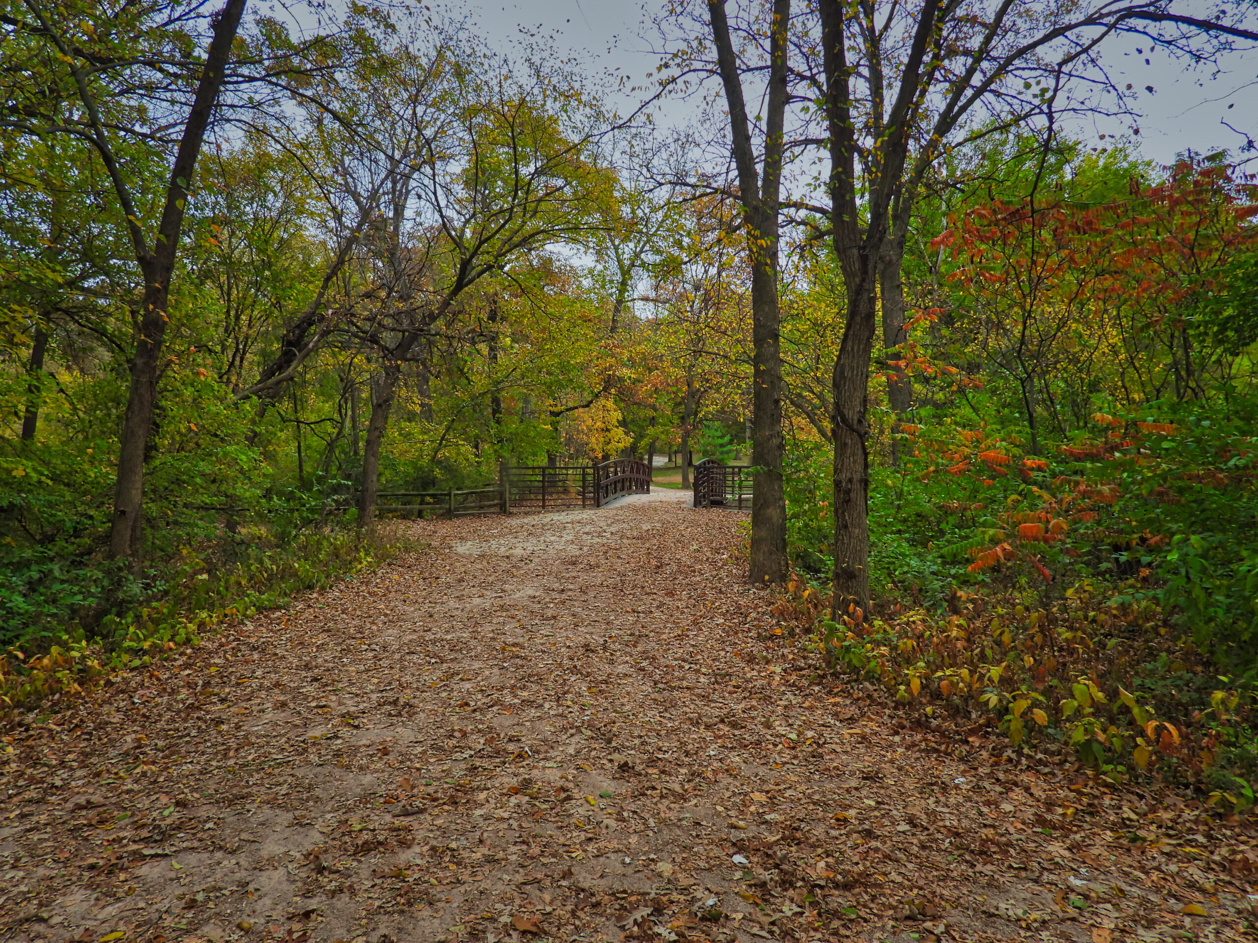 fall-1