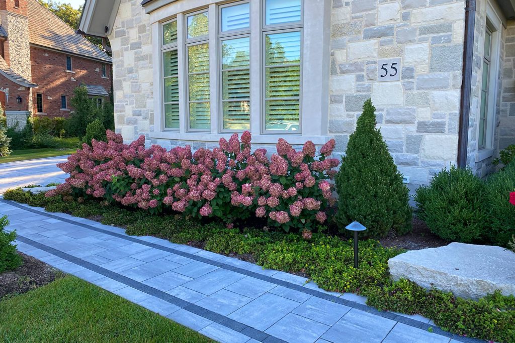 Paver Walkway and Landscape Design by A Touch of Green