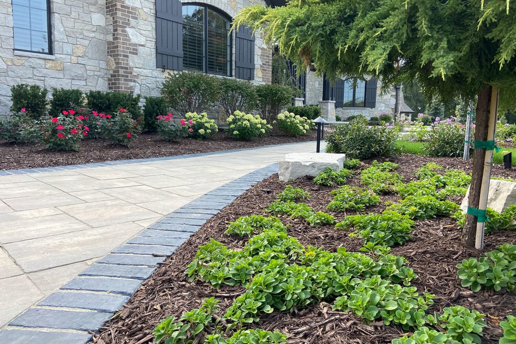 Paver Walkway and Landscape Design by A Touch of Green
